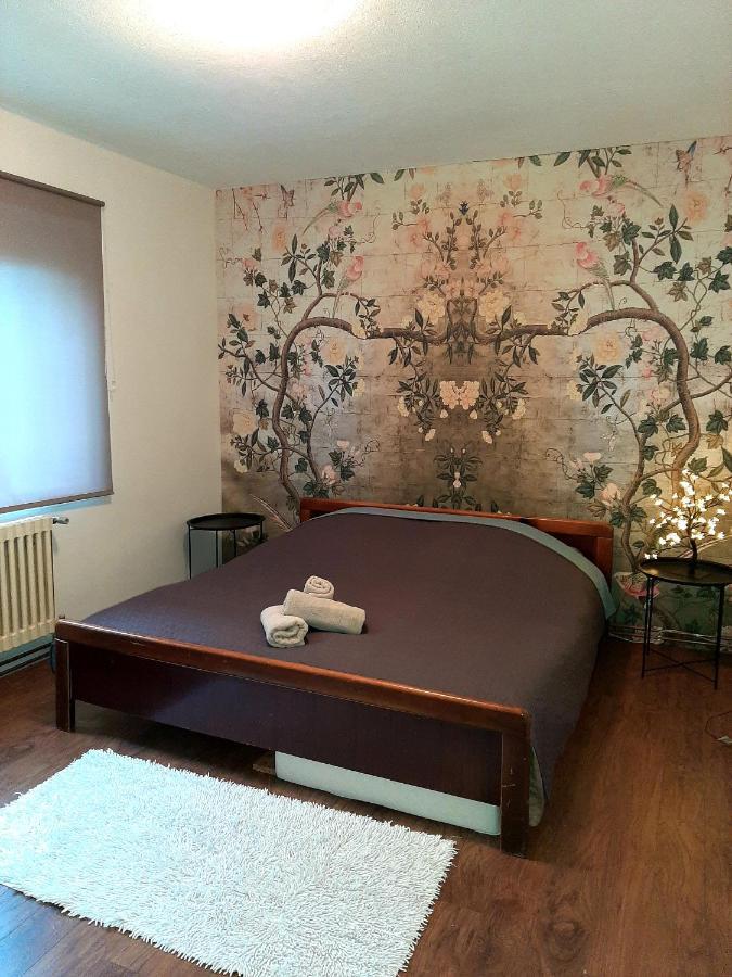 Cosy And Chic... Parking Included Apartman Szarajevó Kültér fotó